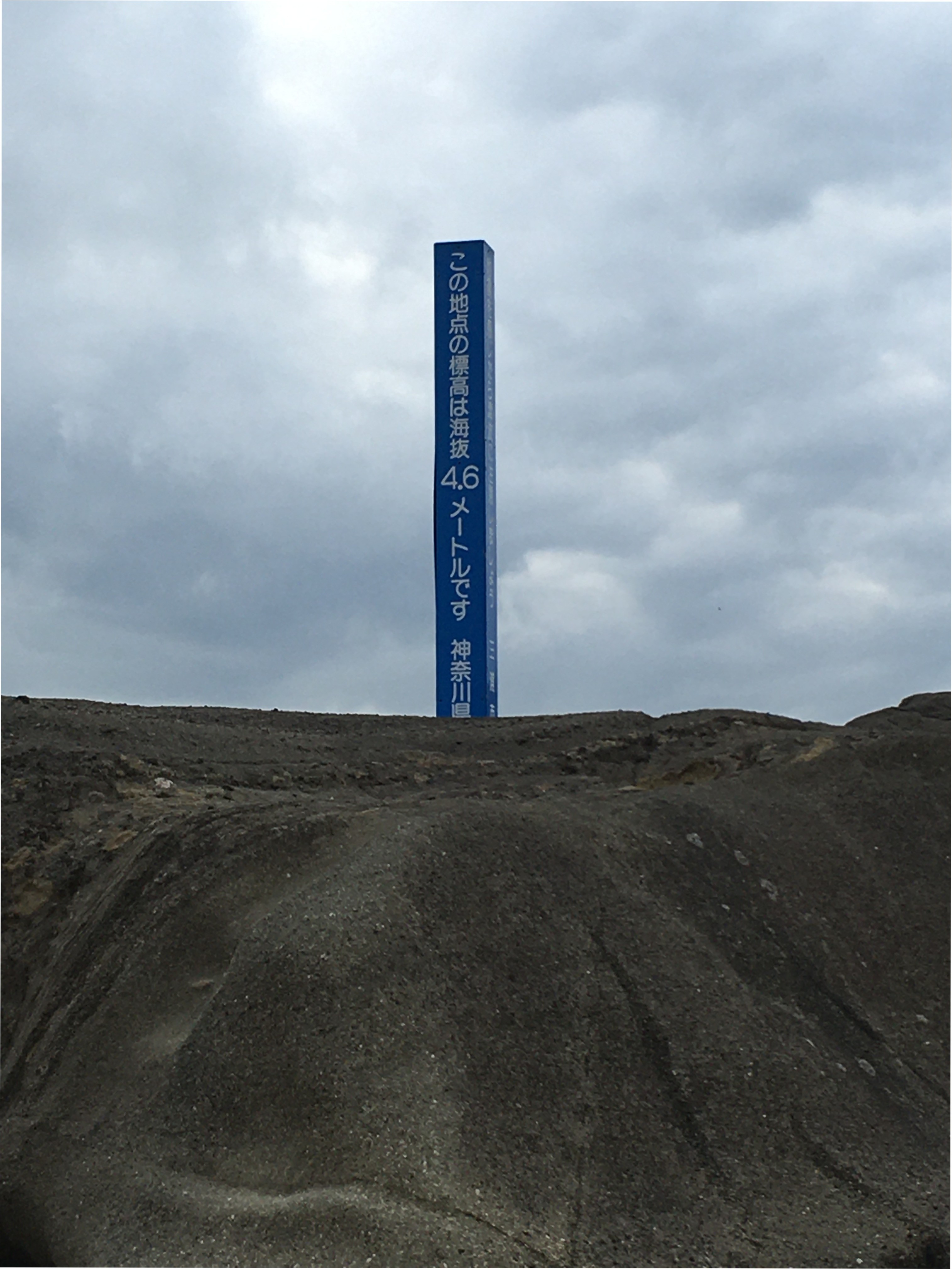 この地点の標高は海抜4.6メートルです　神奈川県